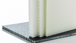 Reinforced thermoplastic composite panels