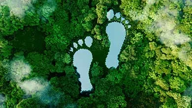 Aerial view of a dense green forest with two large human-shaped footprints filled with light blue water, surrounded by white clouds.