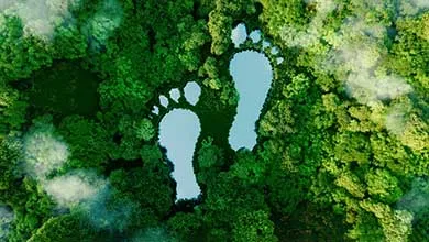 Aerial view of a dense green forest with two lakes shaped like bare human footprints, surrounded by trees and mist.