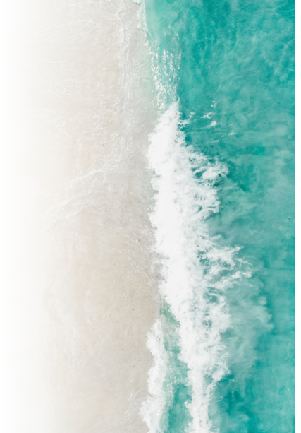 beach with turquoise sea water and palm trees, aerial drone shot, Top view of beautiful white sand